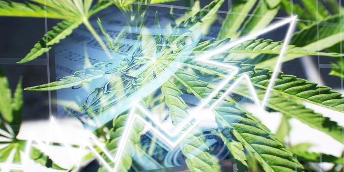 Chart: Year-To-Date Cannabis Investment Activity Up 40 Percent Over 2018, But It's Slowing