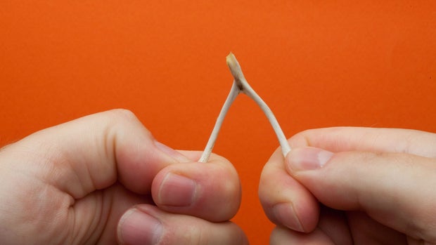 7 seemingly 'stupid' ideas that turned into successful businesses