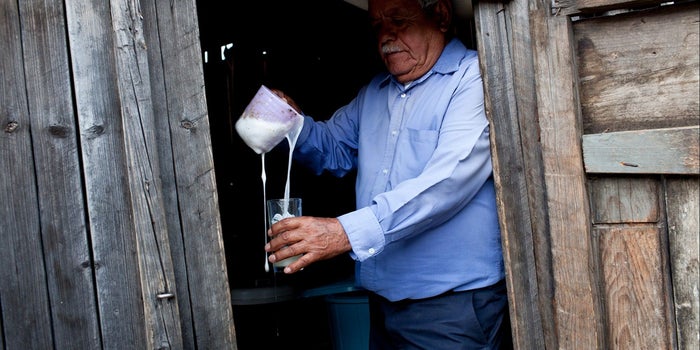 Pulque queda exento del pago de impuestos: SAT
