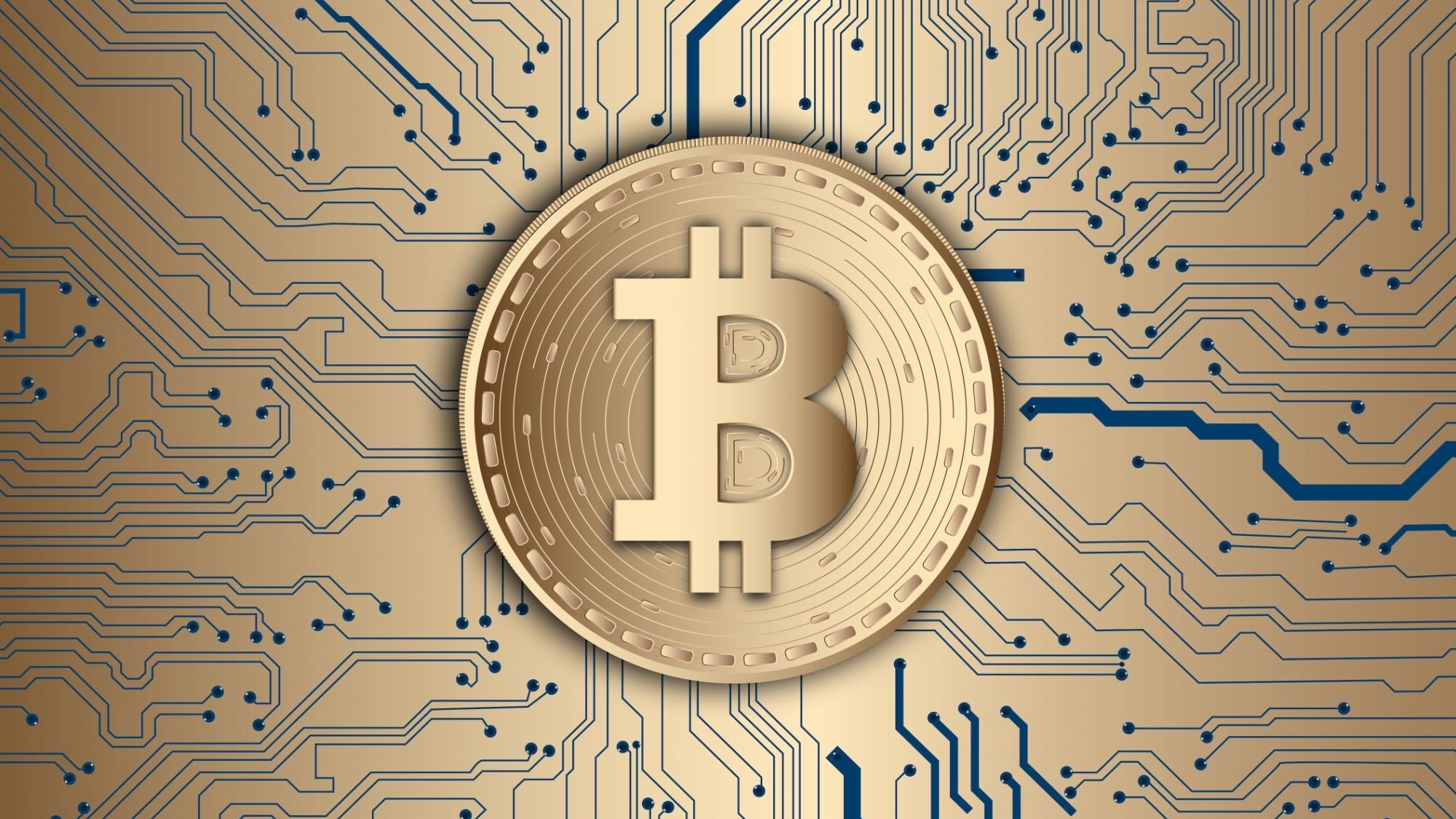 As Indonesia Emerges As An ASEAN Force, Blockchain Is the X Factor |  Entrepreneur