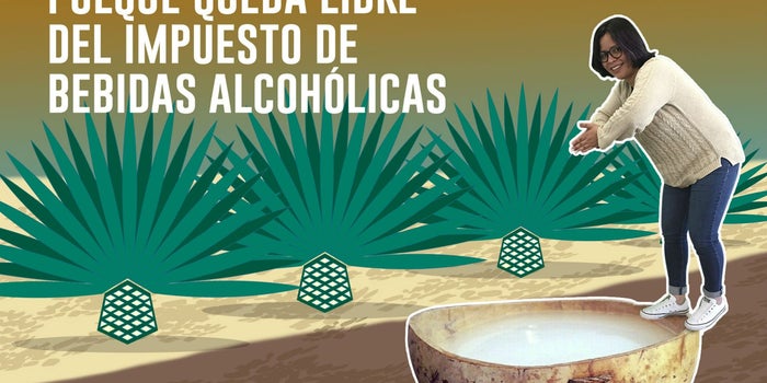 Ya están aquí las noticias más importantes de la semana