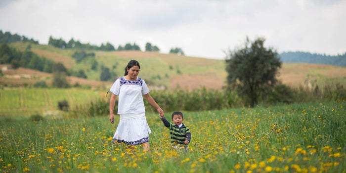 Este es el programa que ayuda a mejorar la calidad de vida de las familias en vulnerabilidad alimentaria