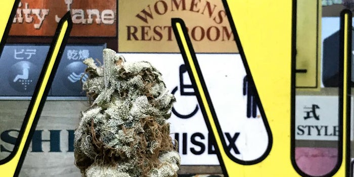 Vertical Brands' New President Cynthia Cleveland Discusses The Role Of Women In Cannabis