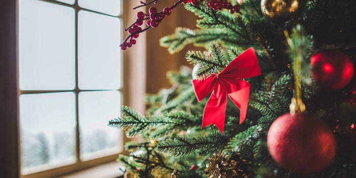 Empieza un negocio de renta de árboles de Navidad