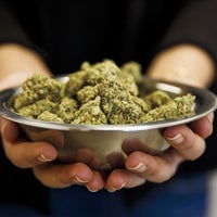 Why Cannabis Education Matters