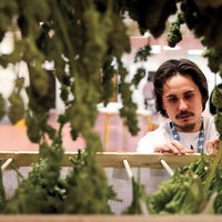 How Cannabis Entrepreneurs Can Explain What They Do For A Living -- Without Freaking People Out