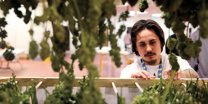How Cannabis Entrepreneurs Can Explain What They Do For A Living -- Without Freaking People Out