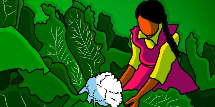 Saber Nutrir, el programa que combate el hambre de los más pobres en México