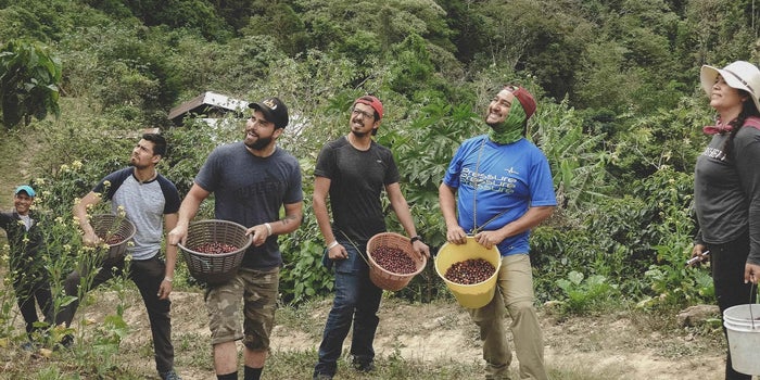 Pulque, café, artesanías y volcanes; la startup mexicana Rutopía se une a Airbnb para tener aventuras