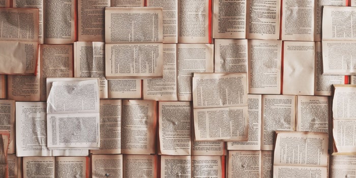 CEOs Share Some Things They Learned in 2019