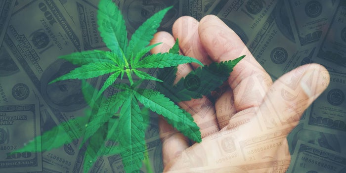 How Investors Place a Value on Your Cannabis Business