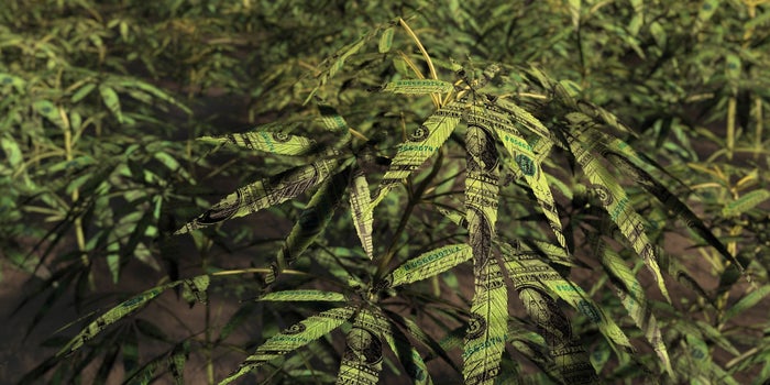 More Americans Ready To Put Money Into Cannabis Investments