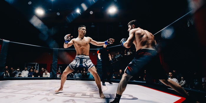 How CBD Entered The World Of Mixed Martial Arts
