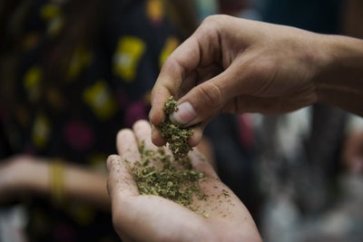 Moms, Presidents And Open Letters: The Tango For Cannabis Legalization And Home Growing In Latin America
