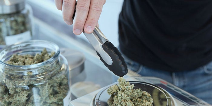 Marihuana: los pros y contra de negocio que está a punto de explotar en México