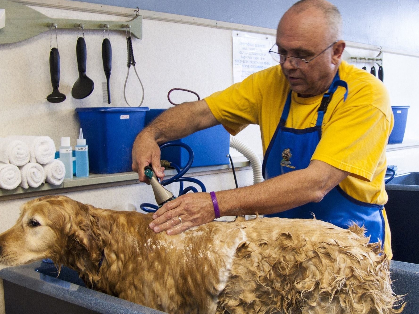 How Much Does A Dog Groomer Business Make