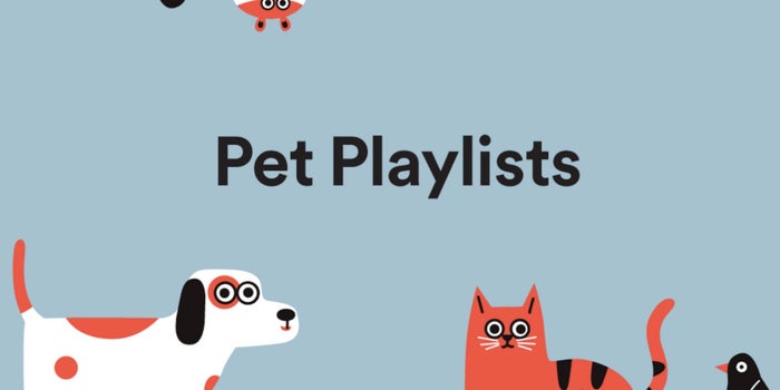 Spotify ahora tiene listas de reproducción para tu perrito que se queda solo en casa