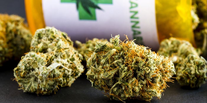 Buscan legalizar la marihuana para cualquier uso