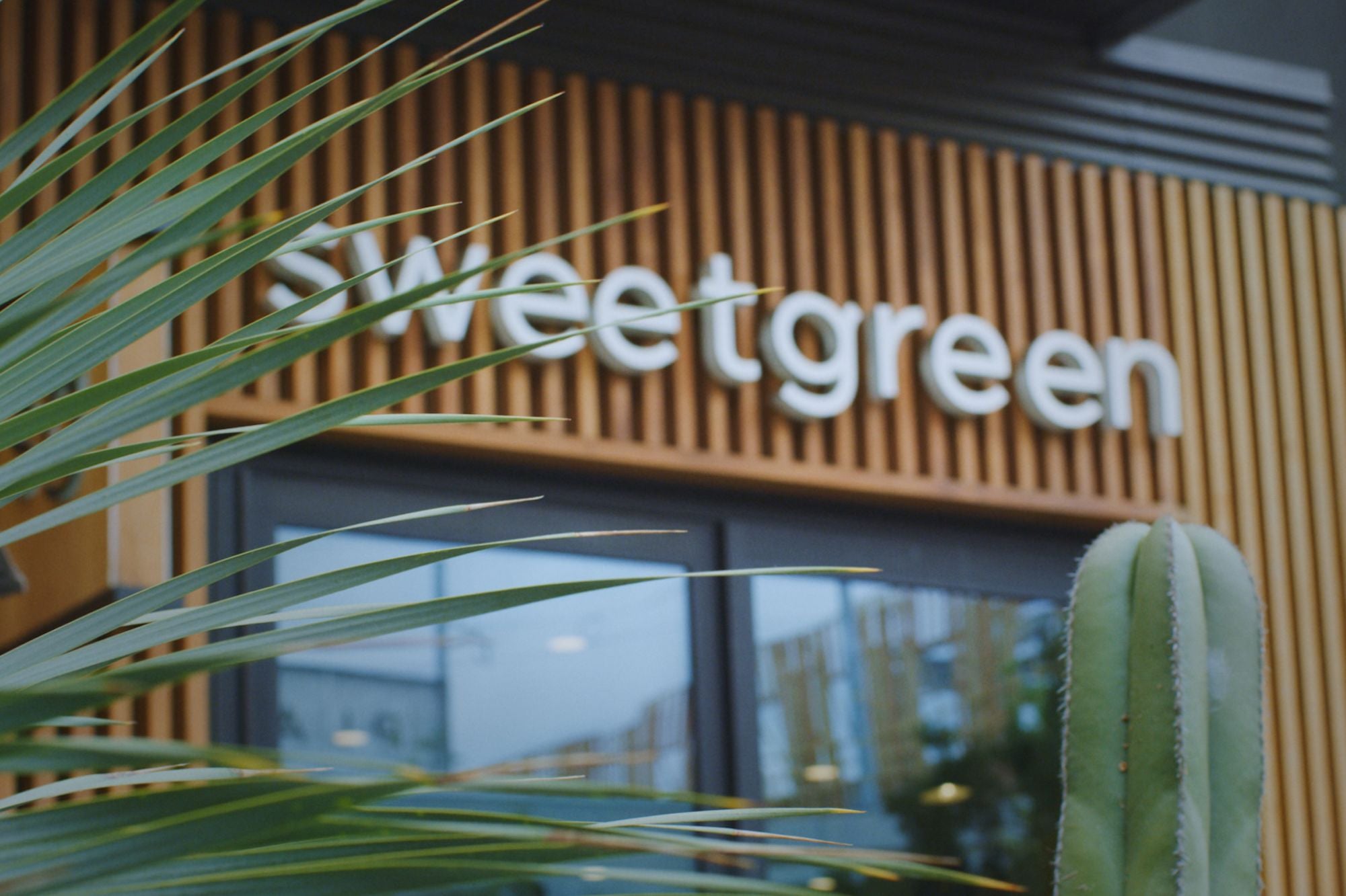 Sweetgrreen Sweetgreen Success: From Dorm Room Startup to Fast-Casual Salad Empire ...