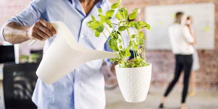 3 Ways You Can Bring Sustainability to Your Workplace