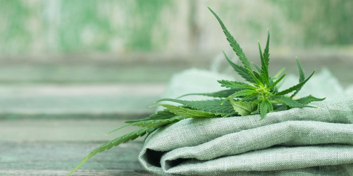 Future Cannabis Industry Leaders Will Focus on Sustainability and Social Impact