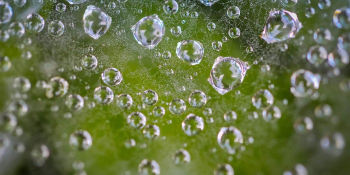 Has The Cannabis Bubble Burst? Experts Weigh In