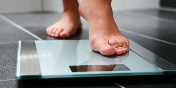 Can Cannabis Help Break The Cycle Of Inflammation And Obesity?
