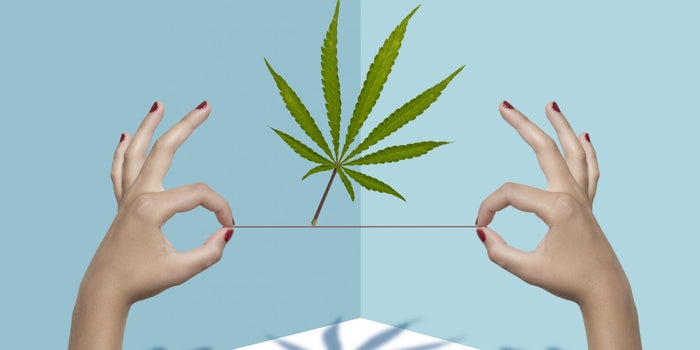 Survival Strategies For Cannabis Companies On The Ropes