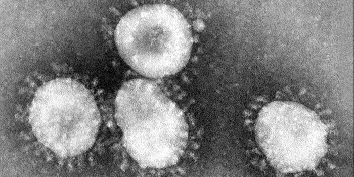 La aplicación de coronavirus de China sabe si alguien está en riesgo de infección