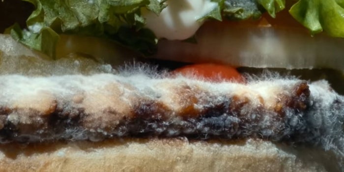 Por qué Burger King cree que ver pan con moho te antojará más hamburguesas