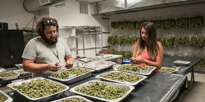 For Victims Of The Green Rush, What Lies Ahead?