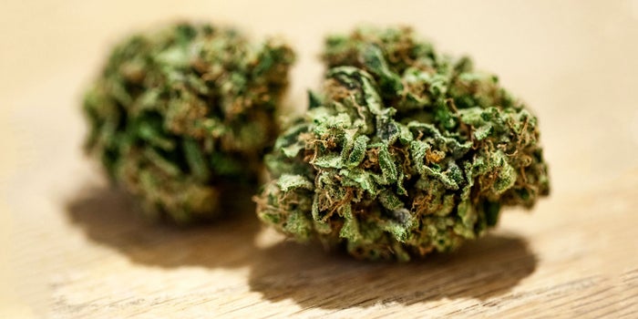 Why Cannabis Stocks Need To Go 'Beyond Flower'