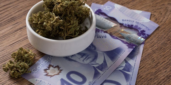 How To Get Foreign Investment In Your Cannabis Company