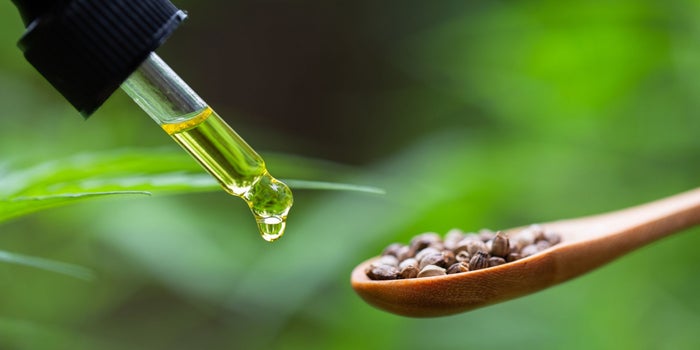 Hemp vs. CBD: What You Need to Know