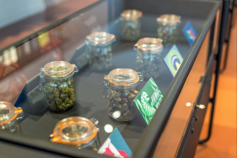 Big Portland Energy - Store Tour of Oregrown