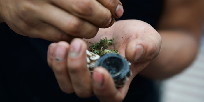 Mexico Moves One Step Closer To Legalizing Cannabis