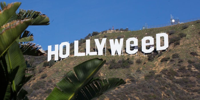 How Hollyweed Is Helping Push Cannabis Forward