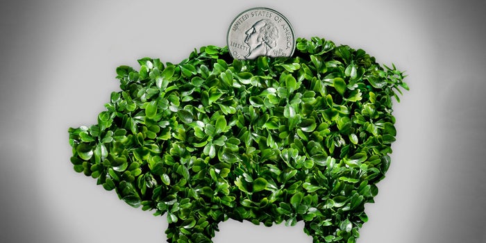Seeking Investment? Cannabis Entrepreneurs Need To Answer These Five Questions