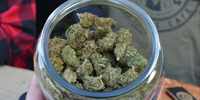 The Hottest Cannabis Brands Of The Week (3/6-3/13)