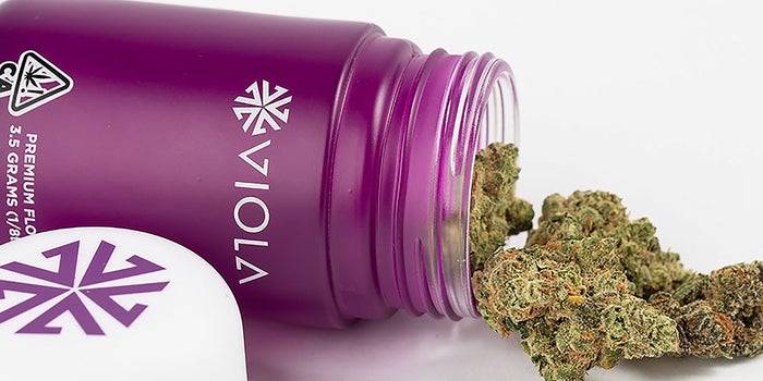 The Hottest Cannabis Brands Of The Week (3/12-3/19)