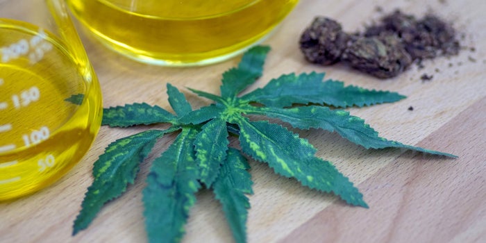 What The Stimulus Package Means For Hemp