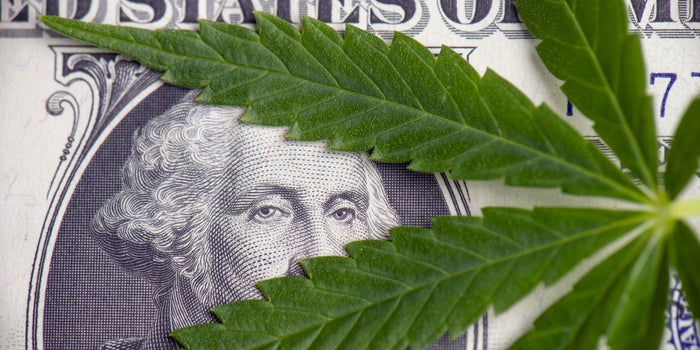 5 Positive Trends For the Cannabis Industry