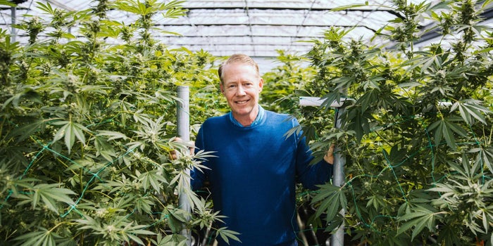 Important Lessons From A Profitable Cannabis Company