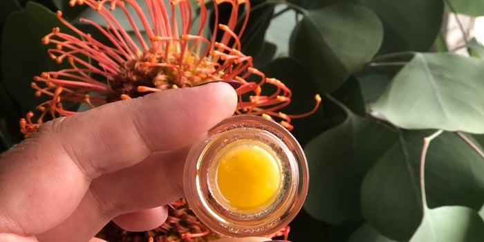 The Hottest Cannabis Brands Of The Week (4/25-5/1)