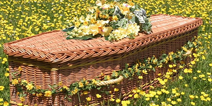 Ataúdes biodegradables