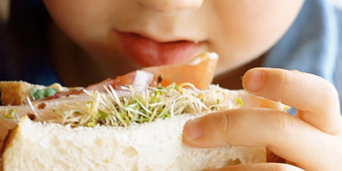 Box lunch para niños