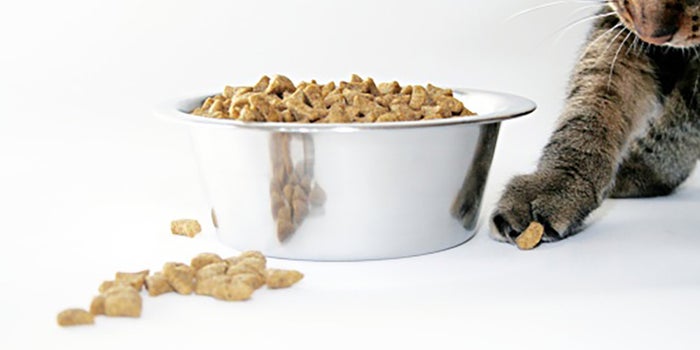 Alimentos orgánicos para mascotas