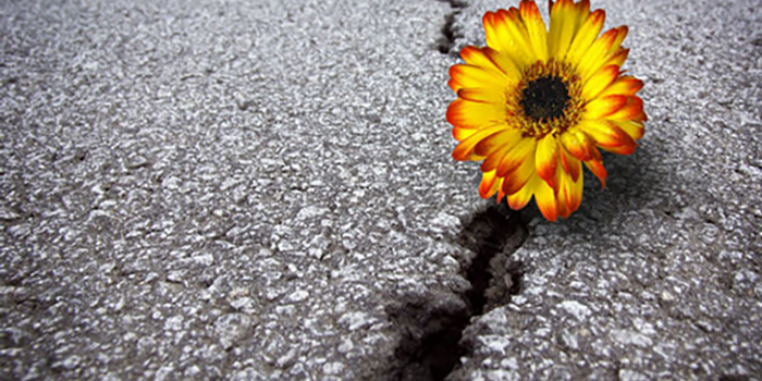 Playlist: 50 canciones para superar el fracaso