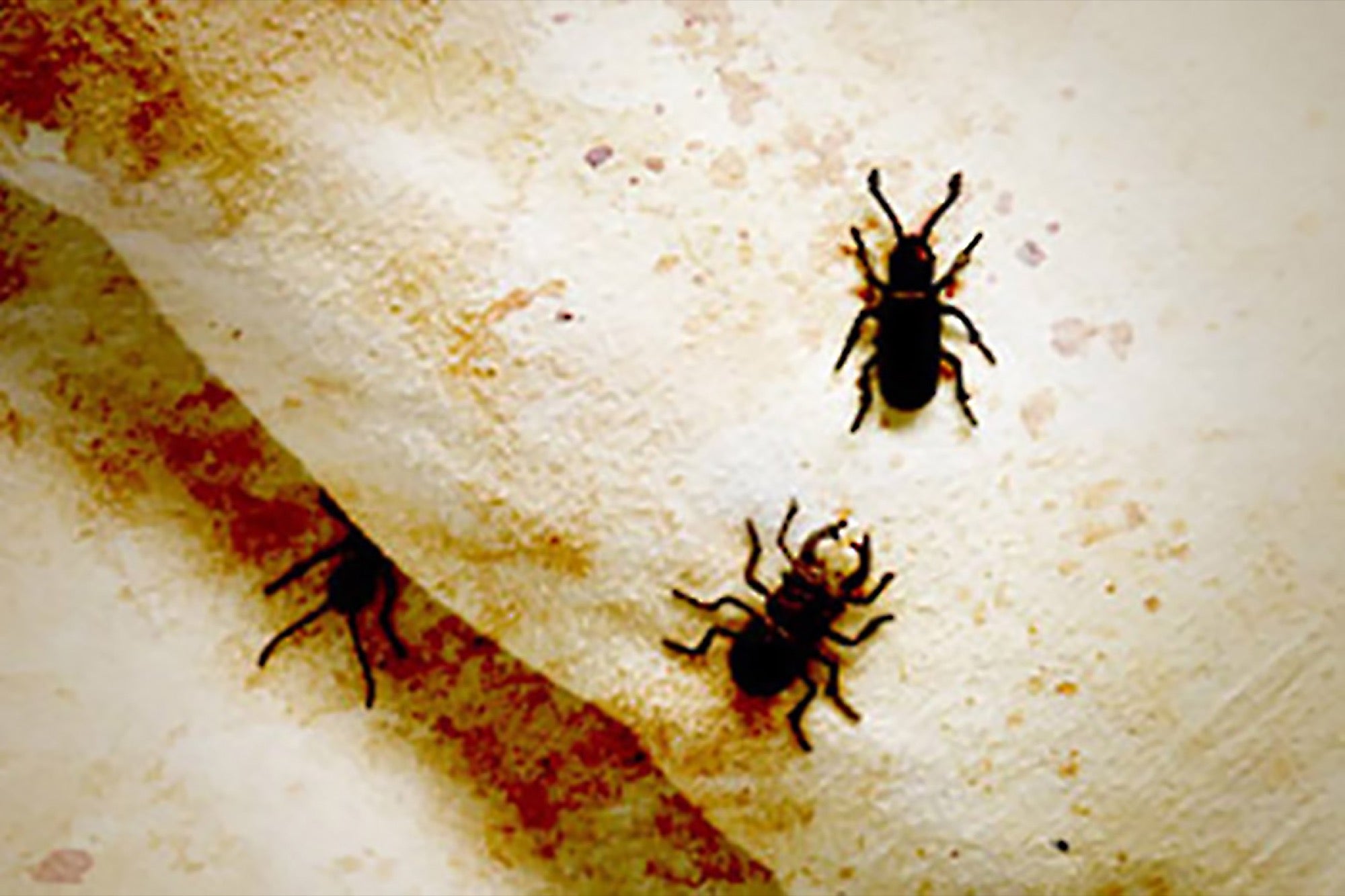 Bug Chasing Sites – The HIV ‘Bug Chaser’ Who Changed His Mind – KSVP