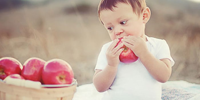 Comida orgánica para bebés
